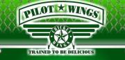 Pilot Wings